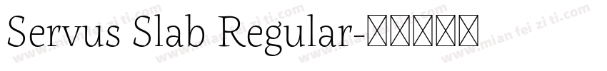 Servus Slab Regular字体转换
